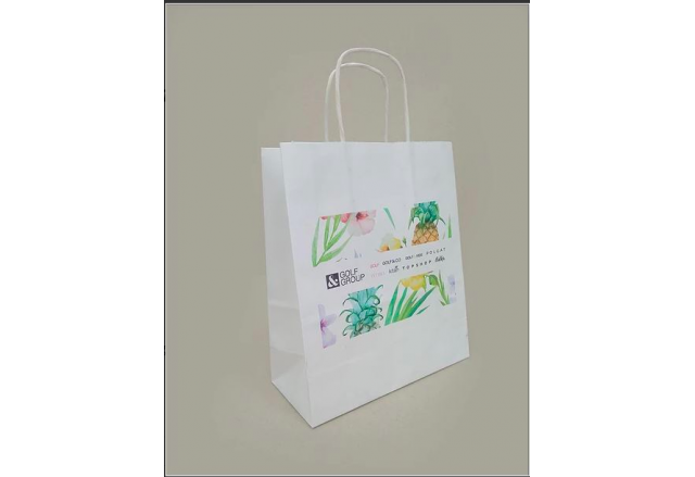 Logo printed shopping paper bags - small quantities 